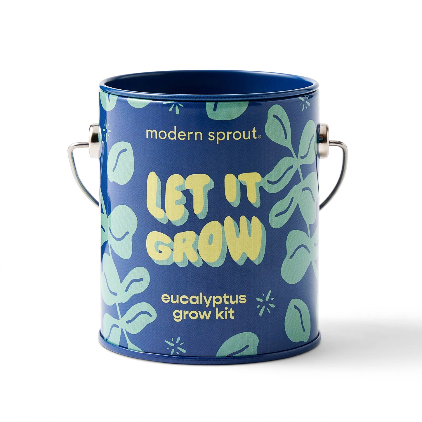eucalyptus grow kit