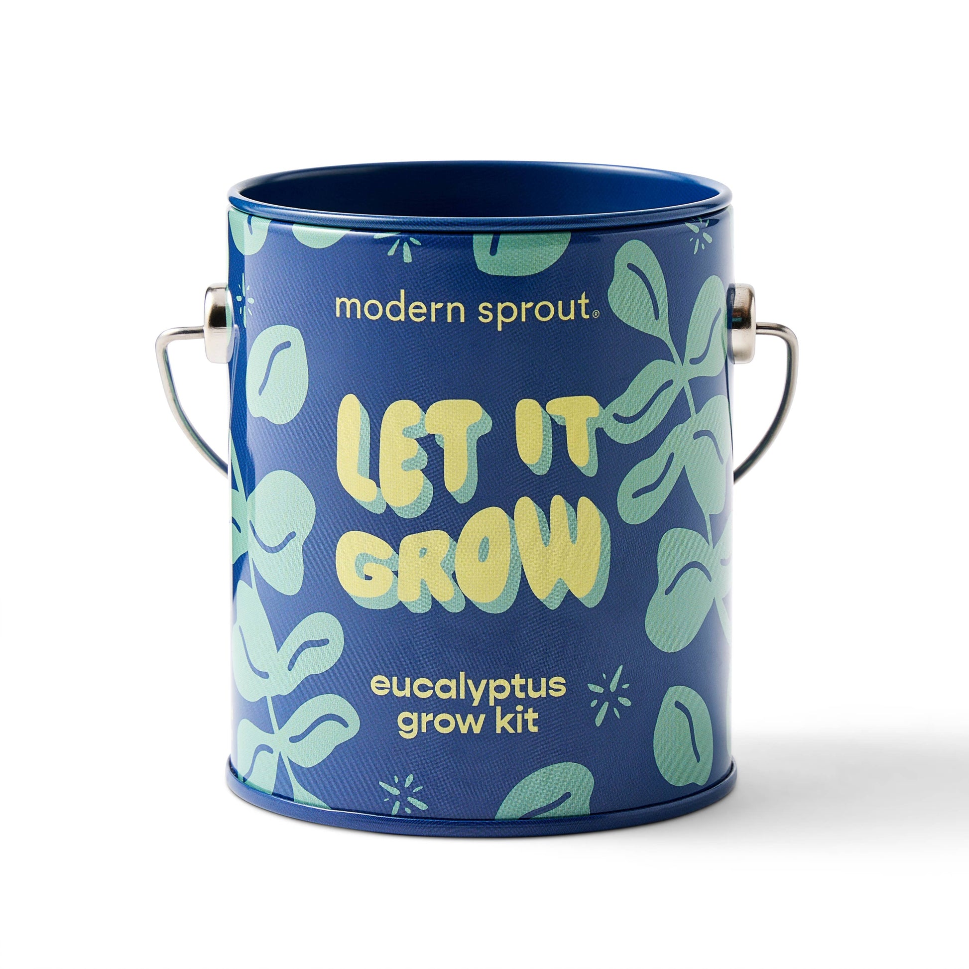 eucalyptus grow kit