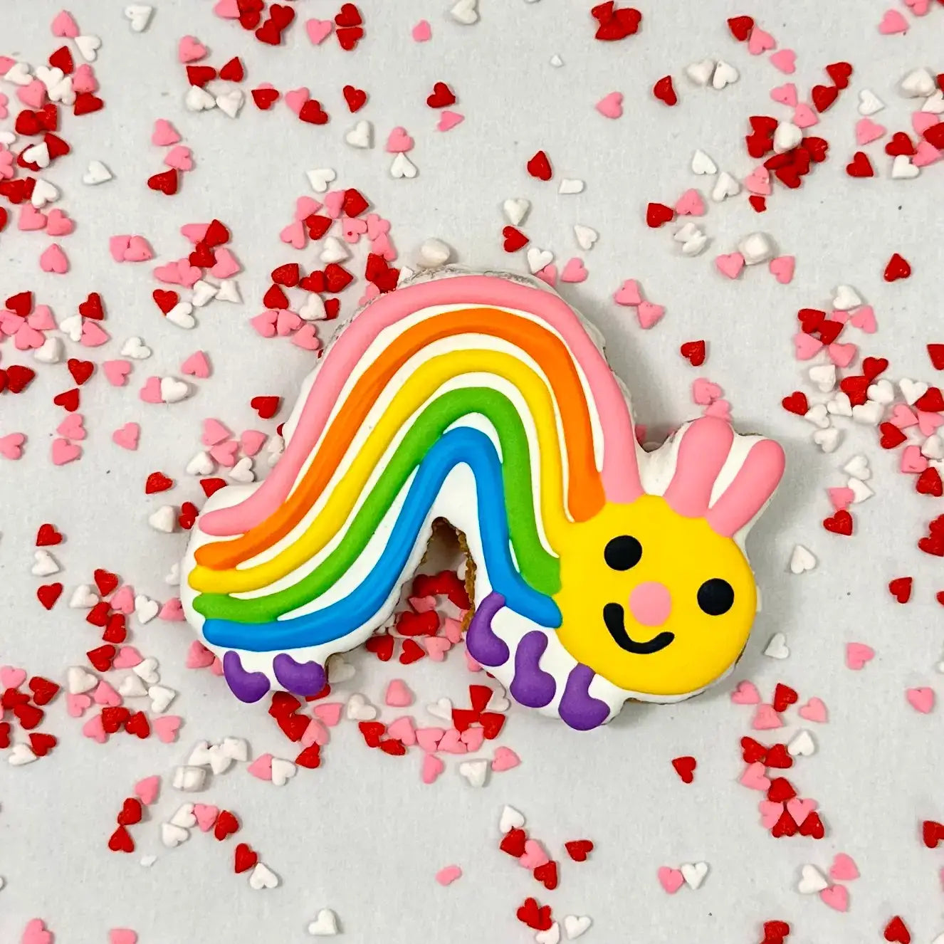Lucky Biscuit Pet Bakery - Colorful Caterpillar 