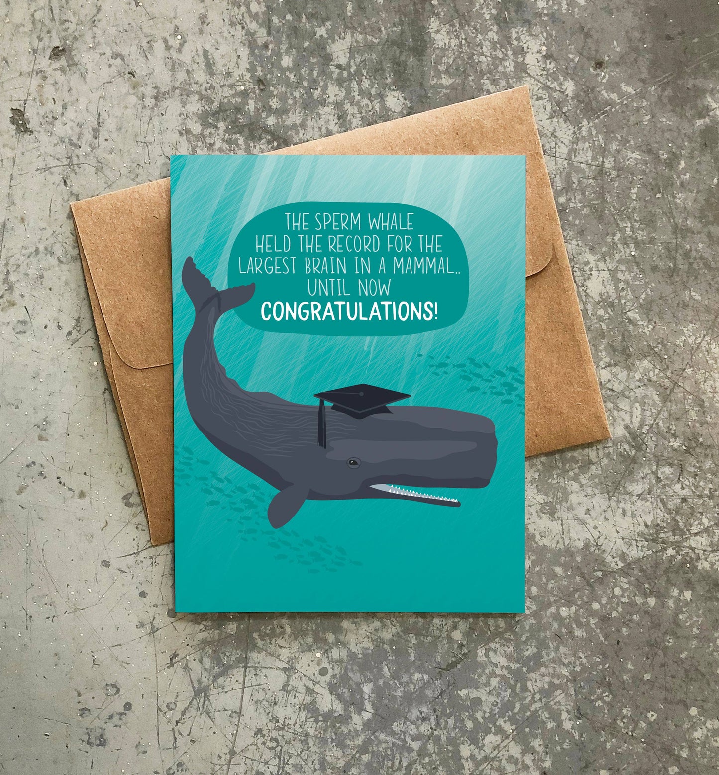 Modern Printed Matter | Big Brain Whale Graduation Card