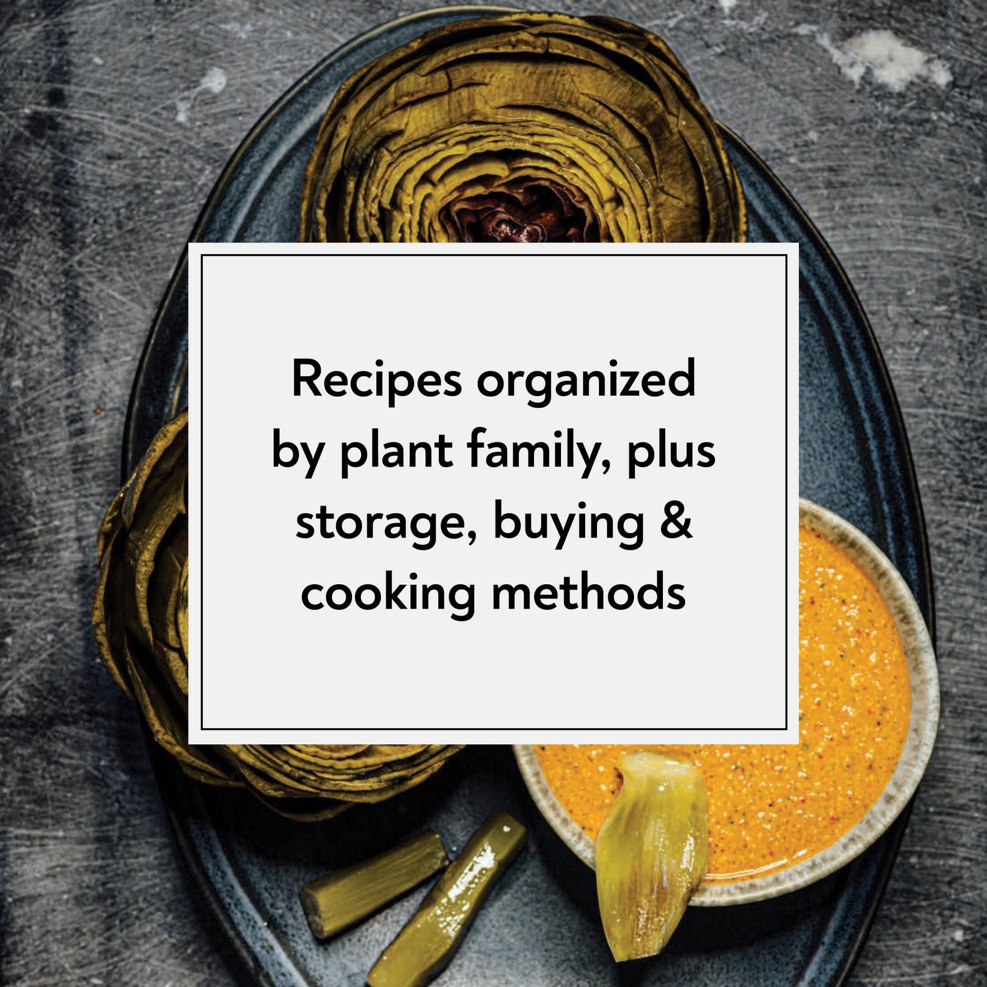 Dried green leaves and a bowl of orange spice on a dark surface with text overlay.