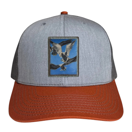 flyn_flockofseagullstrucker