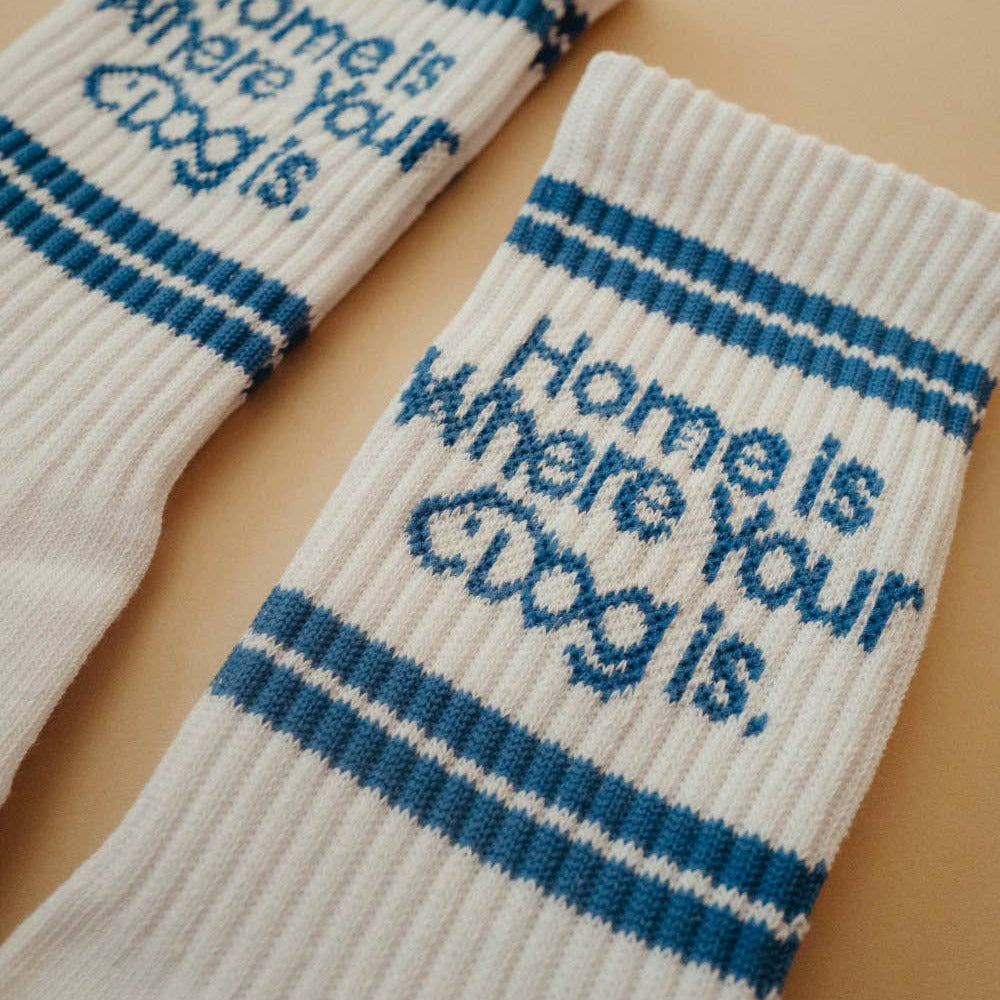 home is where your dog is socks