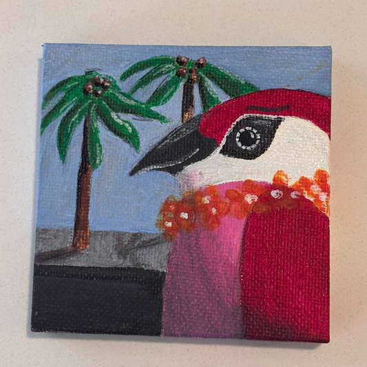 pink toucan palm trees