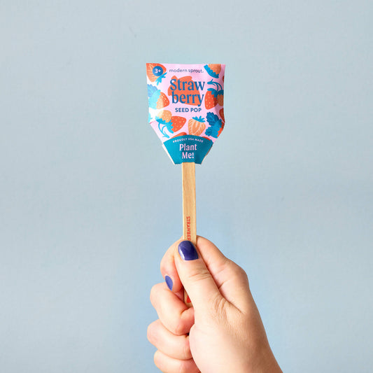 Hand holding a seed pop with colorful packaging against a light blue background