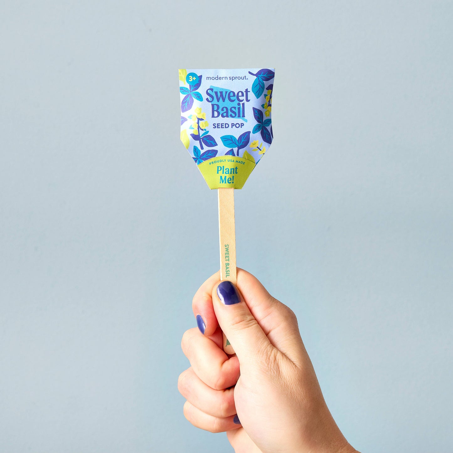 Hand holding a 'Sweet Basil' seed pop against a light blue background