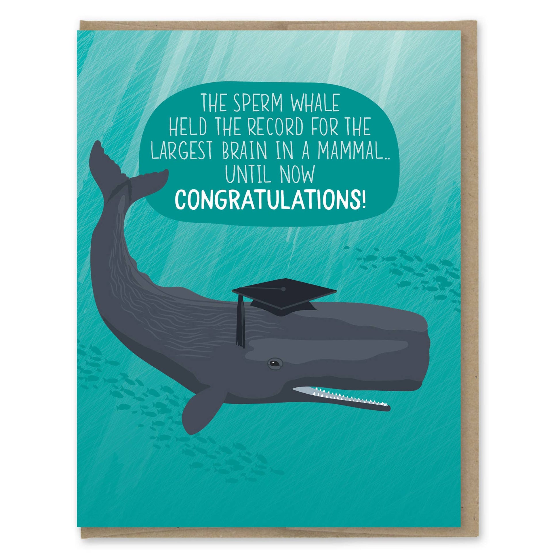 Greeting card with a whale wearing a graduation cap and a humorous message on a teal background.