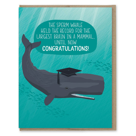 Greeting card with a whale wearing a graduation cap and a humorous message on a teal background.