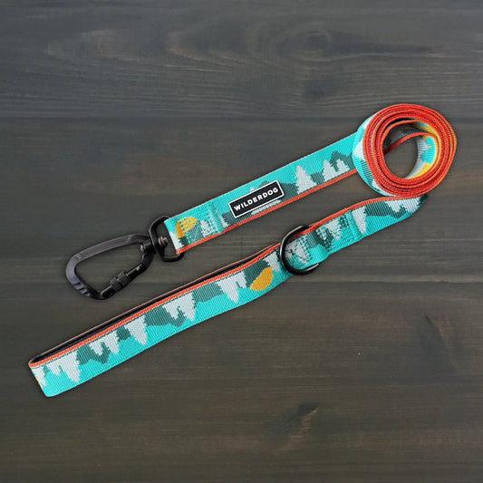 Colorful dog leash with a carabiner on a wooden surface